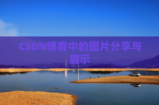 CSDN博客中的图片分享与展示